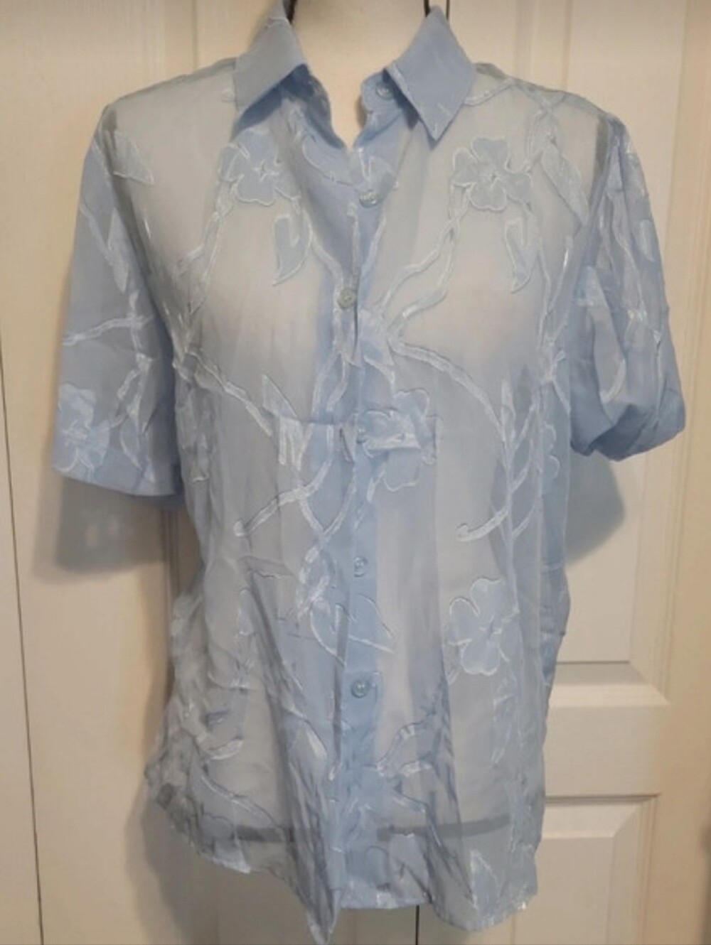 Light Blue Floral Embroidered Short Sleeve Blouse